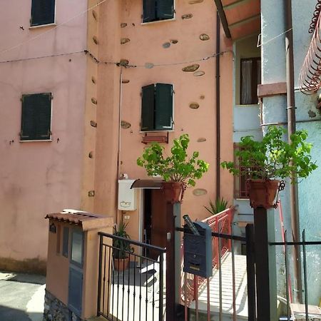Casetta Spino Fiorito Montignoso Esterno foto